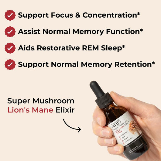 Super Mushroom Lion's Mane Elixir - PureRoot Labs